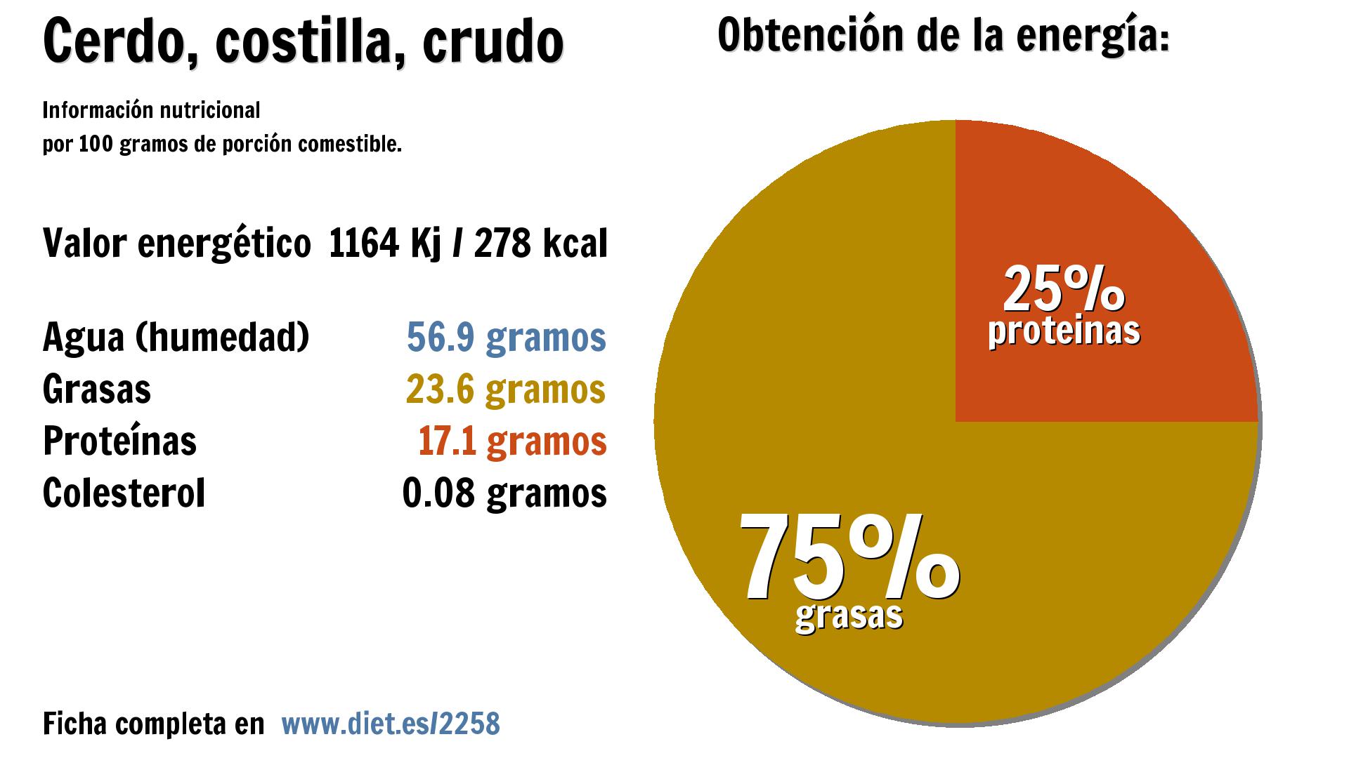 Cerdo, costilla, crudo: energía 1164 Kj, agua 57 g., grasas 24 g. y proteínas 17 g.