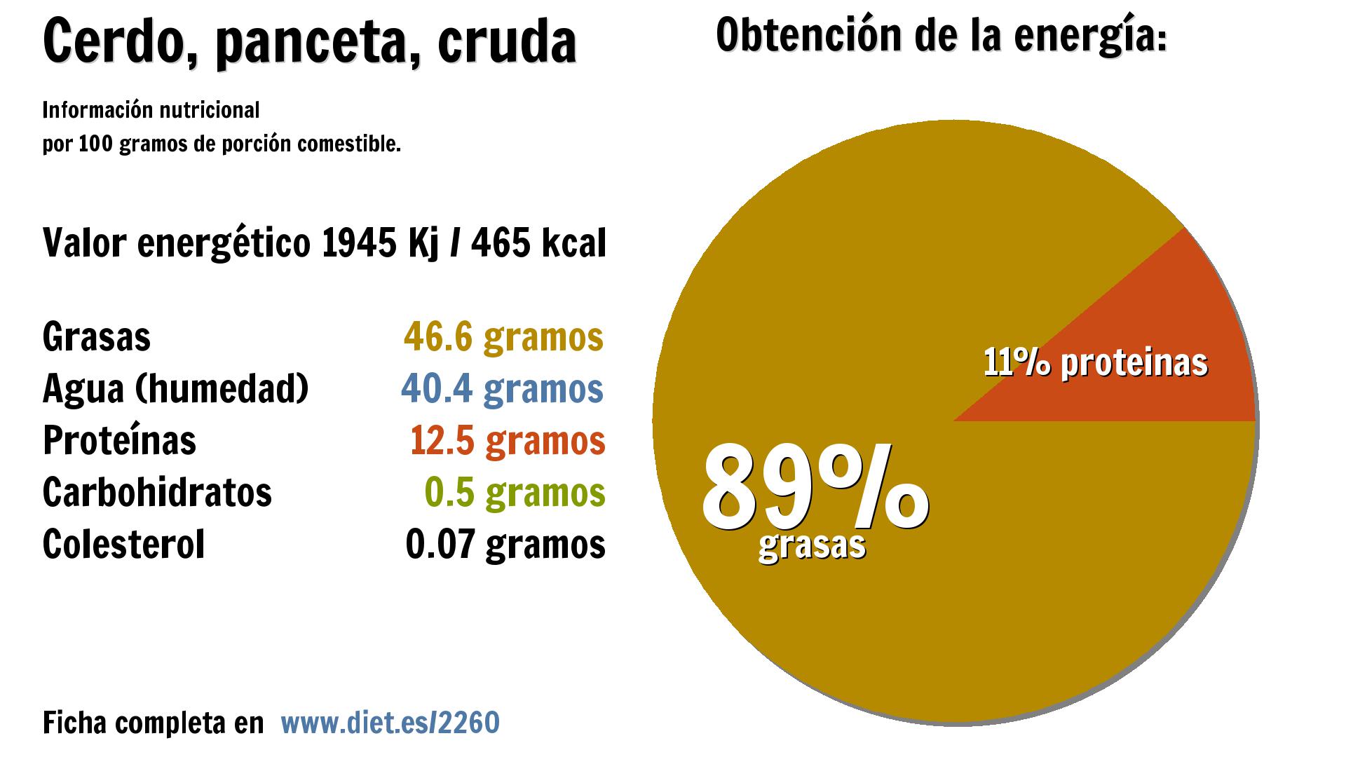 Cerdo, panceta, cruda: energía 1945 Kj, grasas 47 g., agua 40 g., proteínas 13 g. y carbohidratos 1 g.