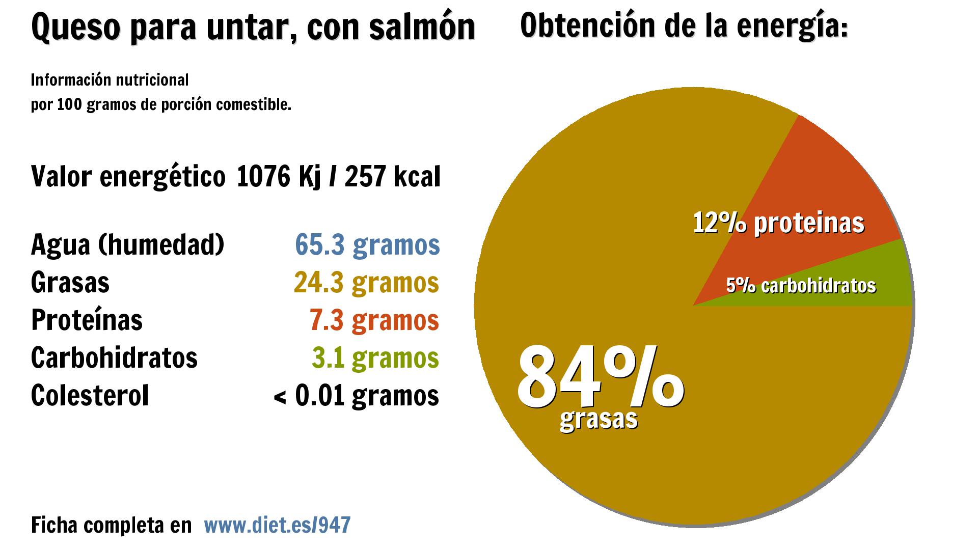 Queso para untar, con salmón: energía 1076 Kj, agua 65 g., grasas 24 g., proteínas 7 g. y carbohidratos 3 g.